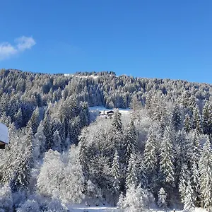 Appartement Les 3 Cols Morzine, 2 Pieces, 2 Personnes, Morzine